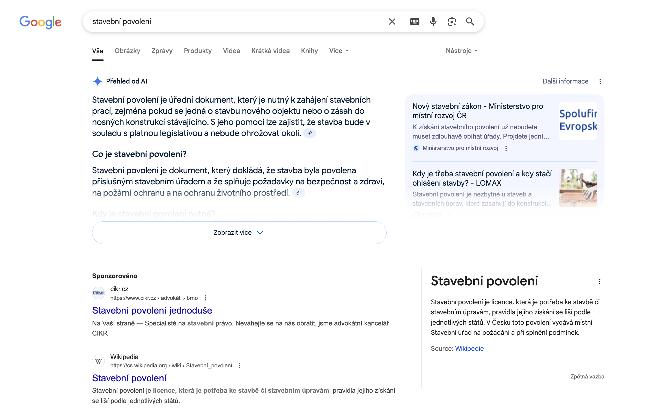 ai-overview-priklad